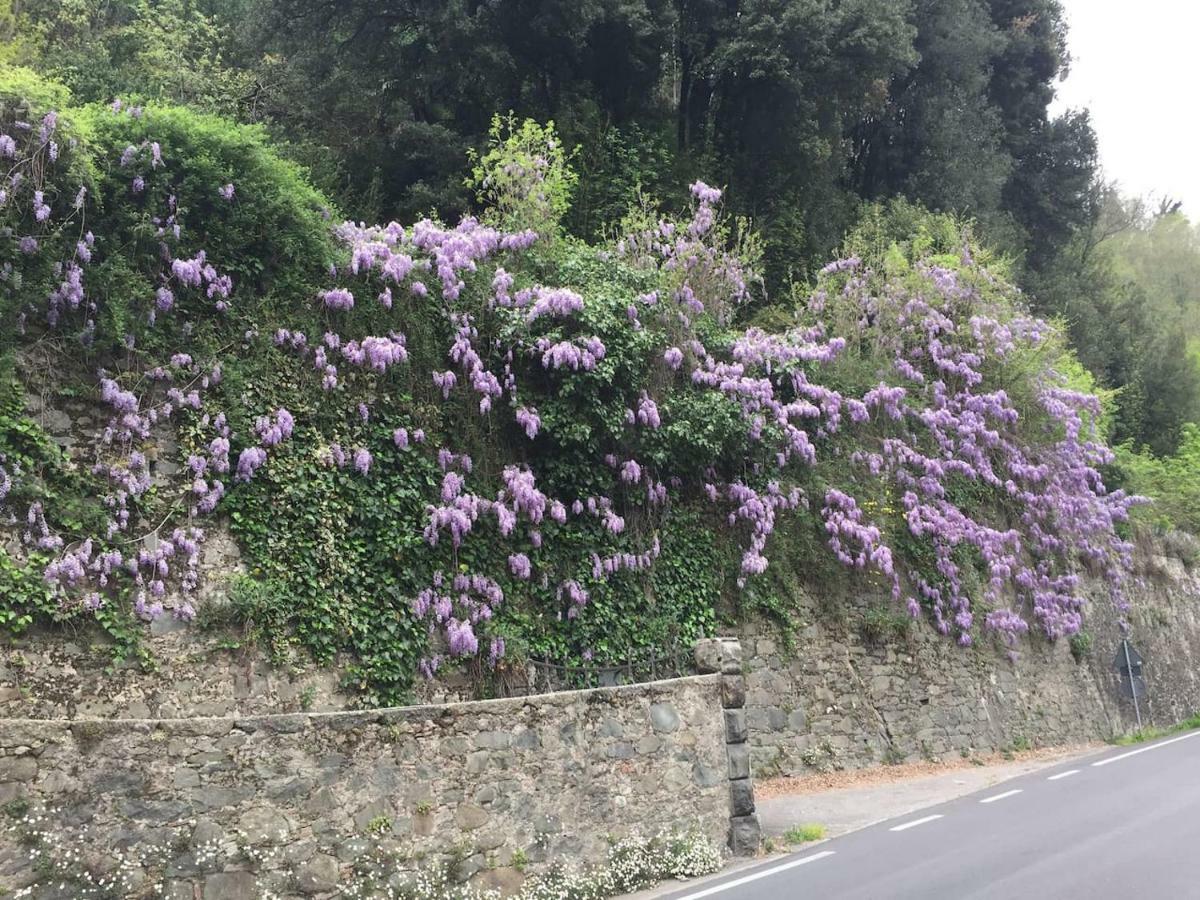 반니 디루카 La Piccola Oasi Toscana 아파트 외부 사진